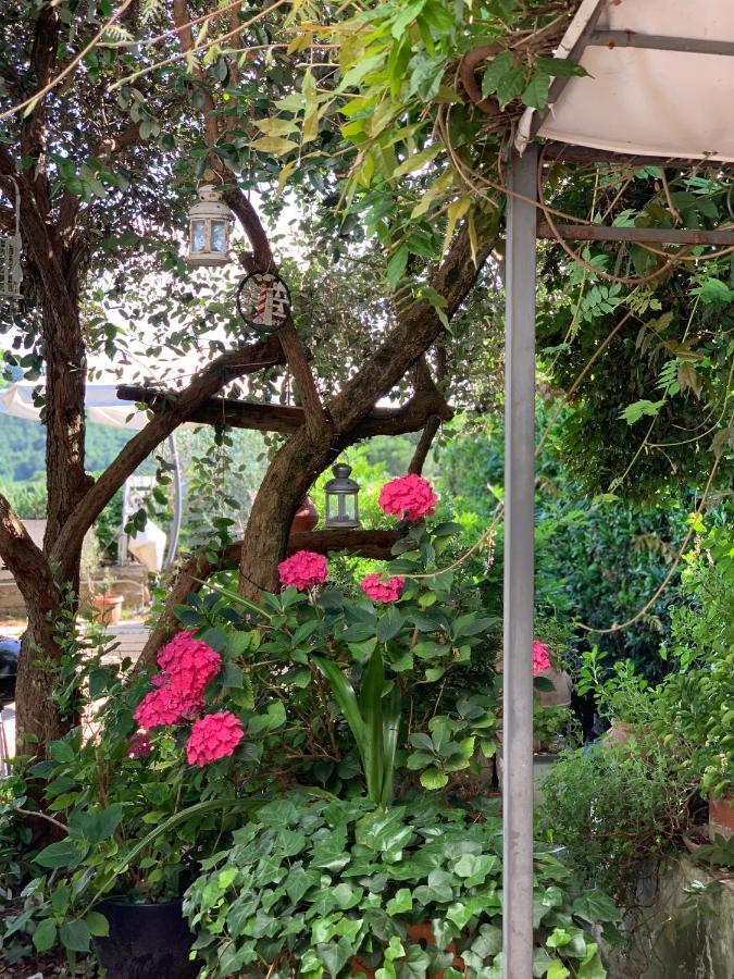 Apartmán Il Cenacolo Di Sissi Campagnano Di Roma Exteriér fotografie