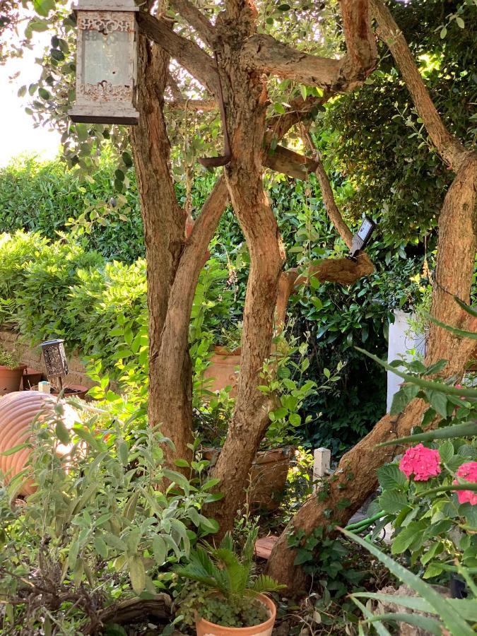 Apartmán Il Cenacolo Di Sissi Campagnano Di Roma Exteriér fotografie