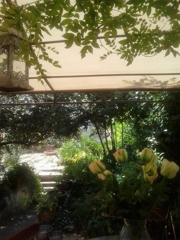 Apartmán Il Cenacolo Di Sissi Campagnano Di Roma Exteriér fotografie