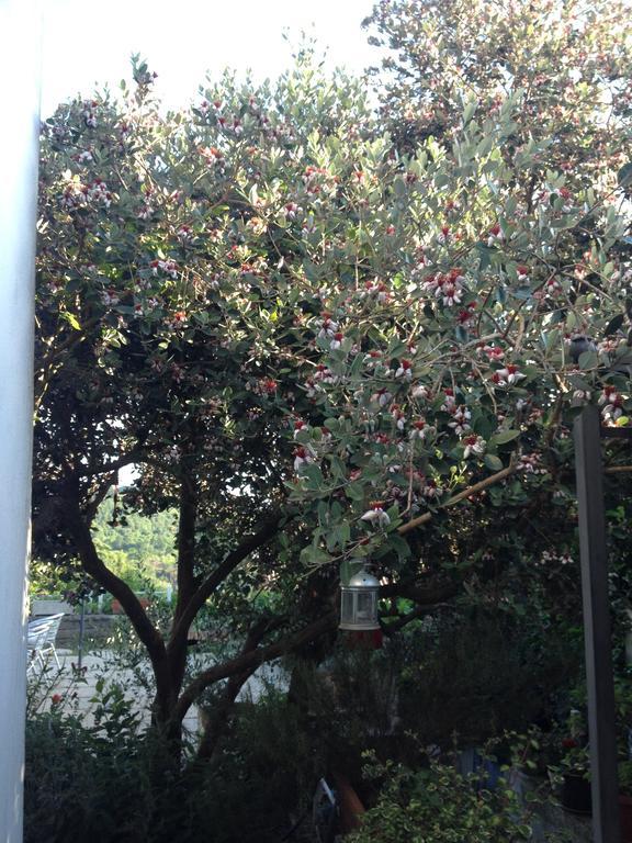 Apartmán Il Cenacolo Di Sissi Campagnano Di Roma Exteriér fotografie